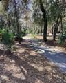 216 Pine Cone Trail - Photo 57