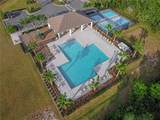 2665 Neverland Drive - Photo 7