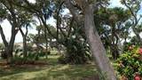 2400 Ocean Drive - Photo 49