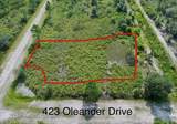423 Oleander Drive - Photo 3