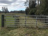 1425 Fort Christmas Road - Photo 1