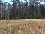 1425 Fort Christmas Road - Photo 6
