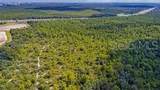  Apopka Vineland Road - Photo 7