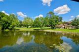 437 Oak Haven Drive - Photo 46