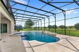 31722 Red Tail Boulevard - Photo 5