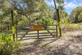  Bronson Road - Photo 4