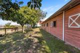 4230 Rex Drive - Photo 38
