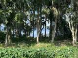 210 Torcaso Court - Photo 3