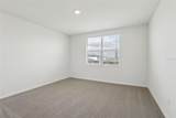 31673 Wild Grape Lane - Photo 23