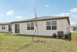 31673 Wild Grape Lane - Photo 25