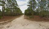 401 Wind Rose Avenue - Photo 5