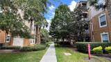 6434 Cava Alta Drive - Photo 8