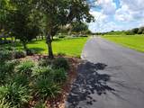15208 Avenue Of The Arbors - Photo 56