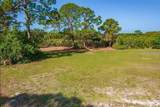 10131 Eagle Preserve Drive - Photo 11