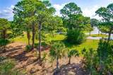 10131 Eagle Preserve Drive - Photo 13