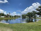164 Royal Palm Drive - Photo 39