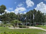 164 Royal Palm Drive - Photo 40