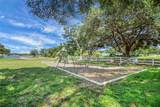 10697 Lake Hill Drive - Photo 30