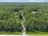 859 Leather Fern Lane - Photo 52