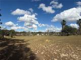 14520 Lost Lake Road - Photo 43