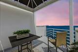 4950 Bayshore Boulevard - Photo 31