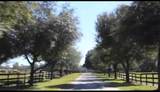 9400 160TH Street - Photo 5