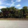 13450 Abutilon Lane - Photo 1