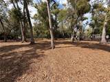 219 Hoffman Court - Photo 43