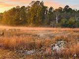 39641 Royal Trails Road - Photo 4
