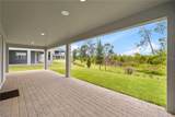17372 Glossy Pomelo Way - Photo 62