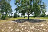 3830 Griffin View Drive - Photo 74