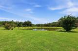 13525 Palm Drive - Photo 66