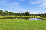 13525 Palm Drive - Photo 67