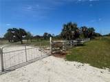 19374 302ND Street - Photo 10