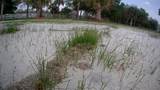 19374 302ND Street - Photo 12