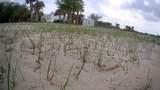 19374 302ND Street - Photo 13