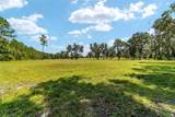 TBD 316 Highway - Photo 13