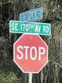  74TH LANE Road - Photo 30