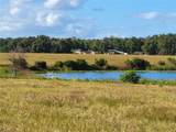  74TH LANE Road - Photo 16