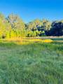 00 Hwy 316 - Photo 5