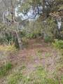 165 Us Hwy 301 - Photo 1