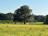 18001 Hawthorne Road - Photo 37