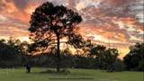 18001 Hawthorne Road - Photo 38
