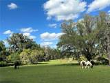 18001 Hawthorne Road - Photo 41