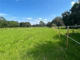 18001 Hawthorne Road - Photo 47