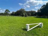 18001 Hawthorne Road - Photo 48