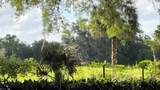 18001 Hawthorne Road - Photo 53