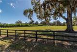 10351 Highway 320 - Photo 5