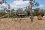 14040 151 Terrace - Photo 54