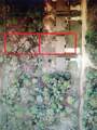 1546 153RD Court - Photo 3